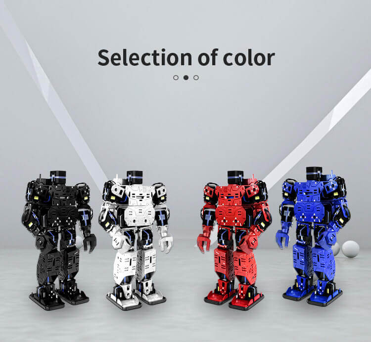 The future development of intelligent robots for elderly care under the trend of population aging