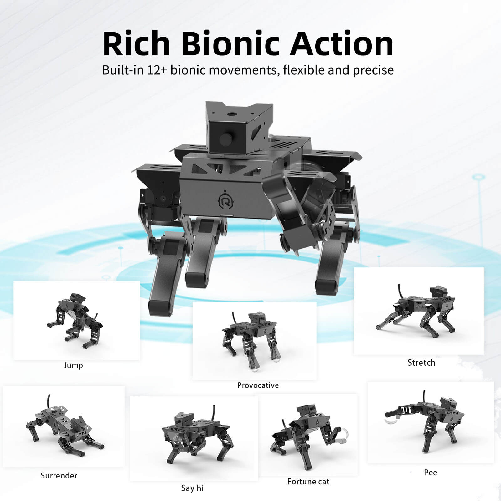 The lowest price on the Internet! XiaoR Technology's Corgi 12-DOF quadruped robot dog is officially released!