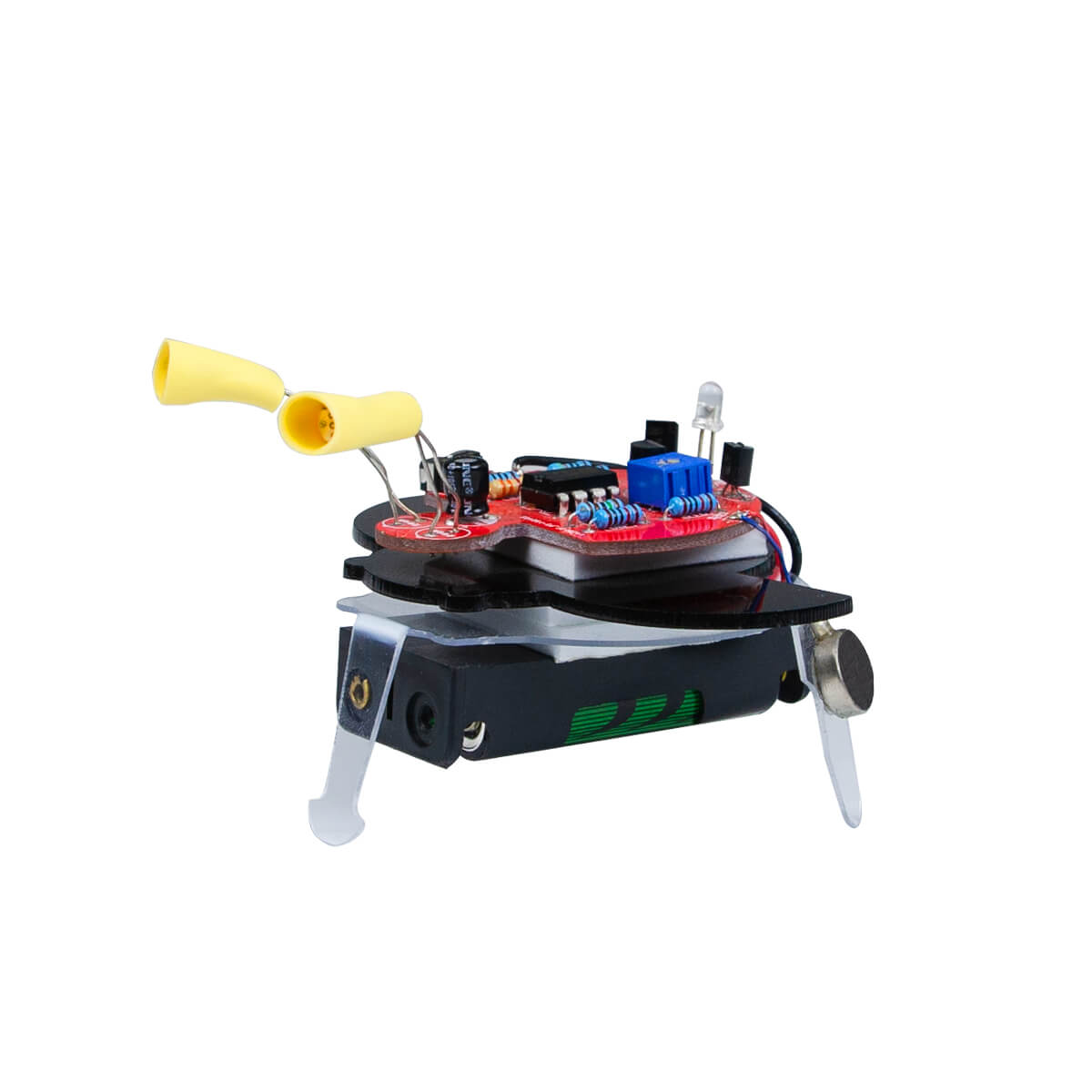  DIY Fireworm Educational kit for kids